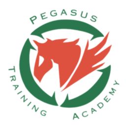 pegasusta.co.za